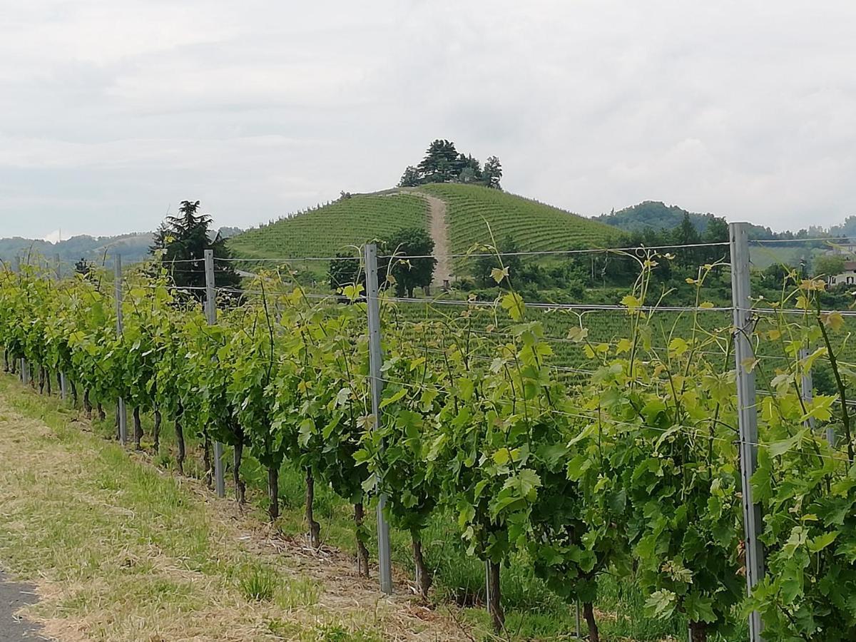 La Giribaldina Winery & Farmhouse Calamandrana Zewnętrze zdjęcie