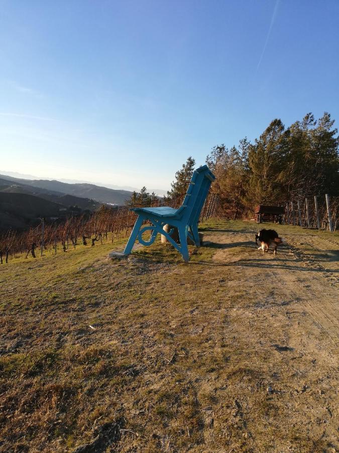 La Giribaldina Winery & Farmhouse Calamandrana Zewnętrze zdjęcie