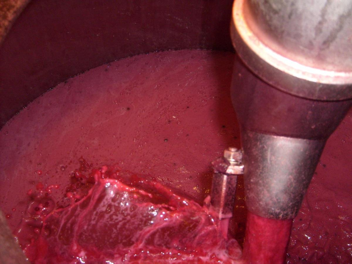 La Giribaldina Winery & Farmhouse Calamandrana Zewnętrze zdjęcie