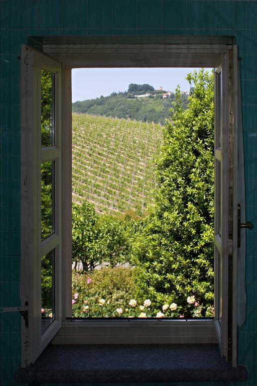 La Giribaldina Winery & Farmhouse Calamandrana Pokój zdjęcie