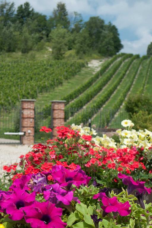La Giribaldina Winery & Farmhouse Calamandrana Zewnętrze zdjęcie